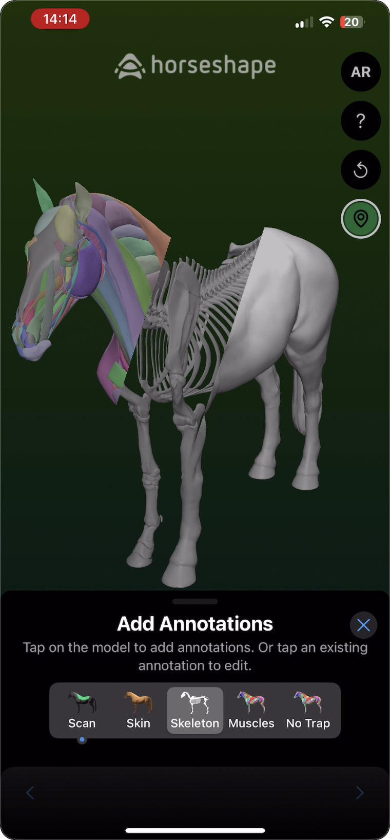 The 3D horse body model with Skeleton and Muscles view toggles
