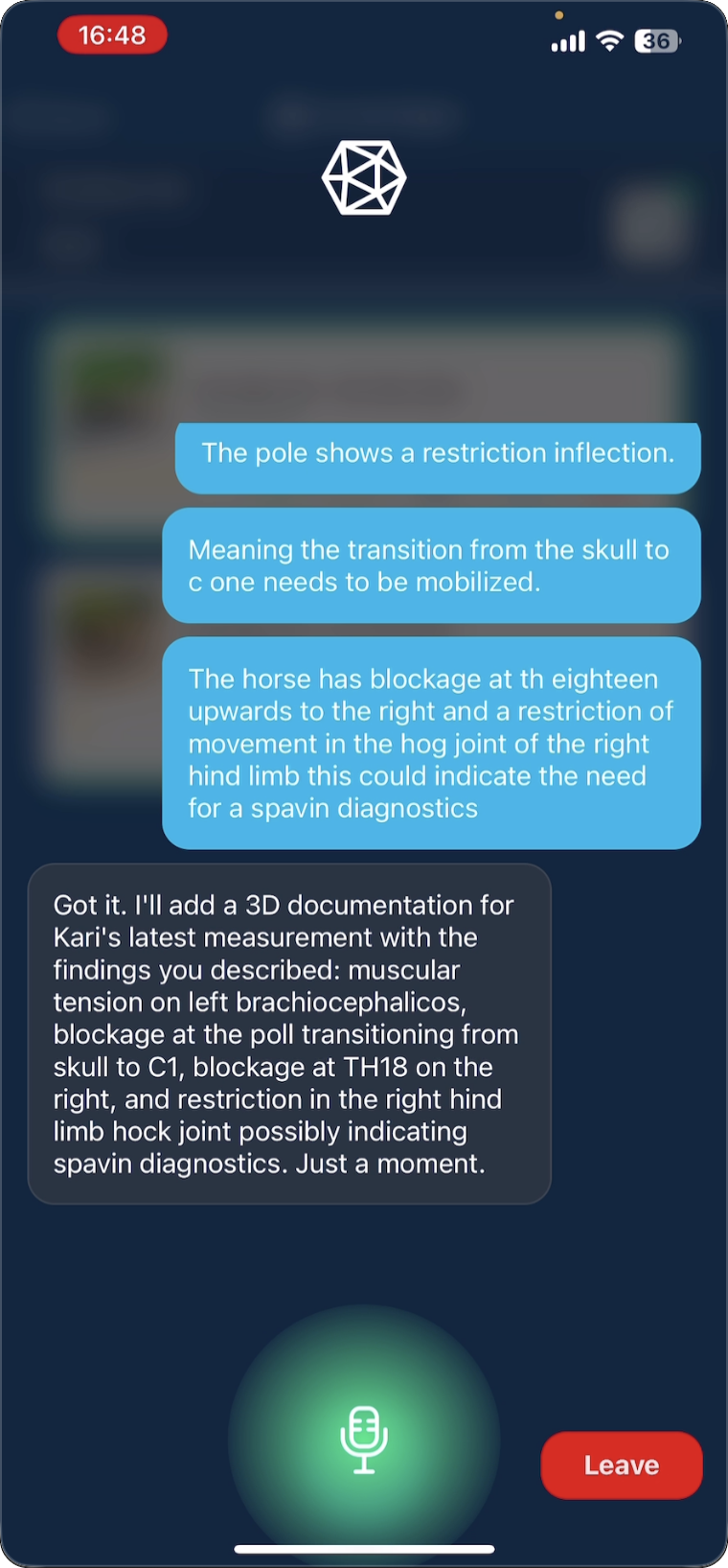 Orphelia placing a 3D documentation marker by voice